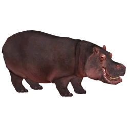 Category:Hippos | ZT2 Download Library Wiki | Fandom