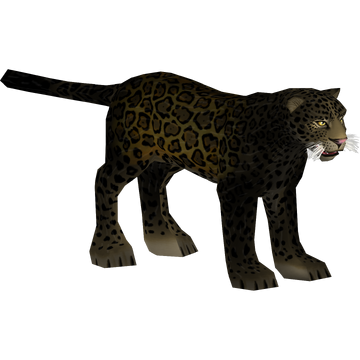 ★OAMC★ Game Leopard Hood Otanio 23A28OAJ23COTOA048308 23A2 Leopard 2 OTCo - YouTube