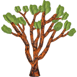 Cactus Tree (Whalebite)