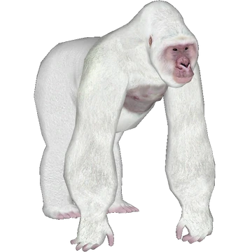 Western Lowland Gorilla (Burnt_Gecko) | ZT2 Download Library Wiki
