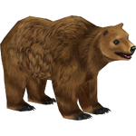 Grizzly Bear (Buffzoo)