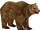 Grizzly Bear (Buffzoo)