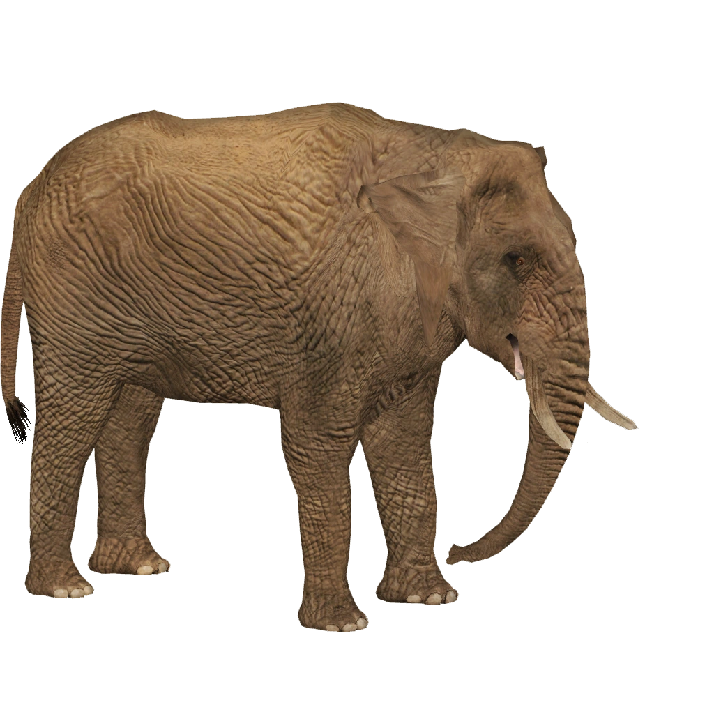 latest?cb=20201106171154