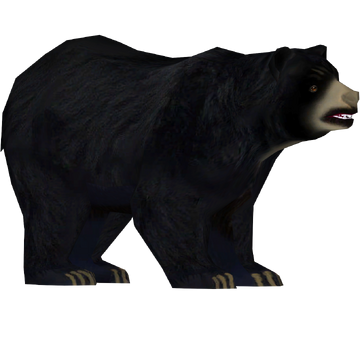 タマゴラス BEAR LION SQUIRREL plain message Squirrel Circle: MM10614