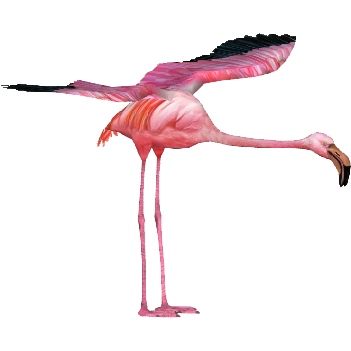 Giant Flamingo (Tamara Henson) | ZT2 Download Library Wiki | Fandom