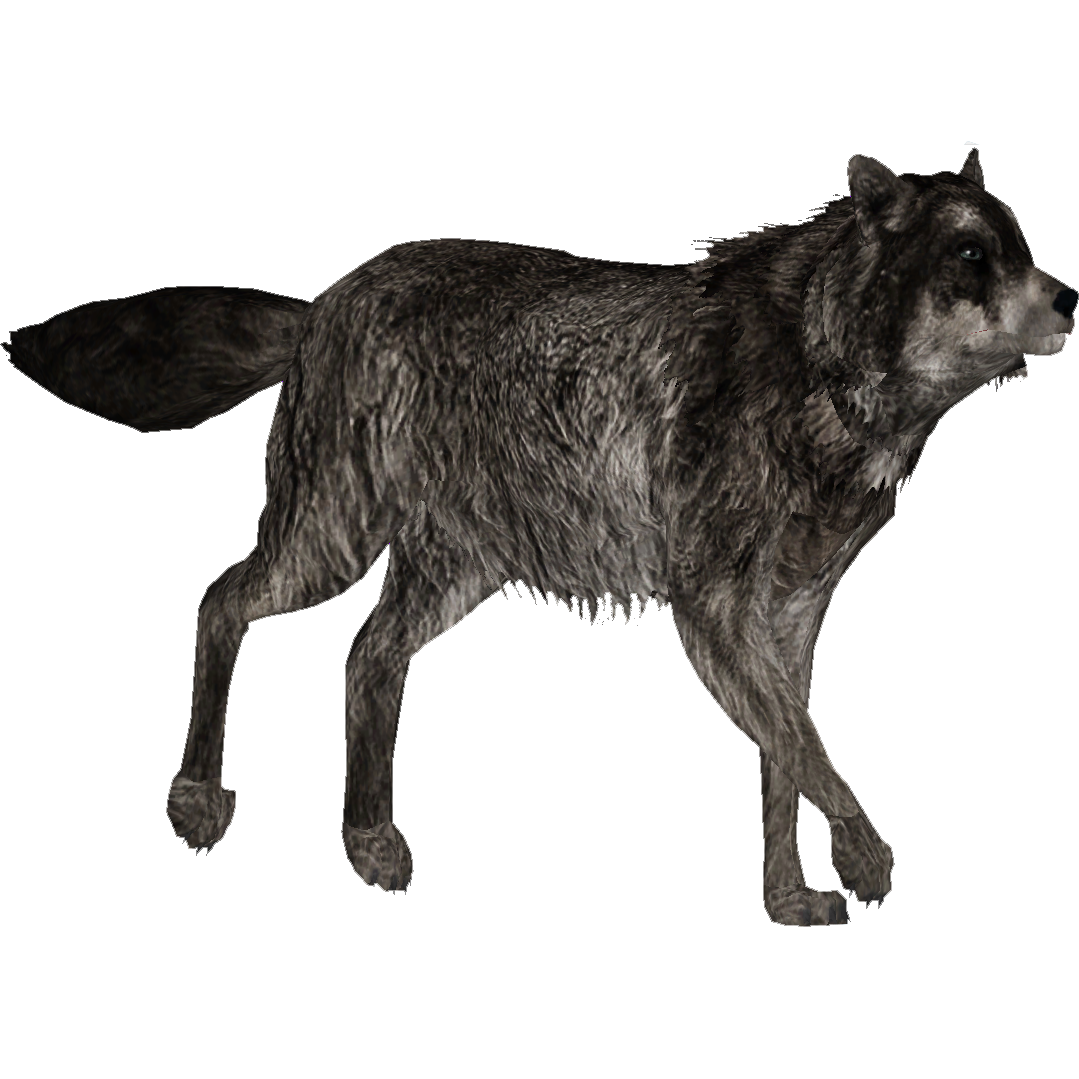 werewolf irl on X: i just found out there's gonna be a zoo tycoon 2 mod  that updates the animals but keeps the original game's art style  YAYYY!!!!!! Look at the velociraptors