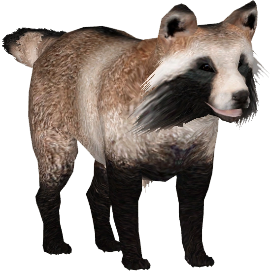 Japanese Raccoon Dog (Tamara Henson) | ZT2 Download Library Wiki