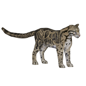 Odobenocetops (Acinonyx Jubatus) | ZT2 Download Library Wiki