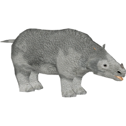 Category:Extinct Rhinos | ZT2 Download Library Wiki | Fandom