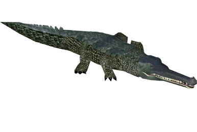 虎と蛇 Japanese Giant Salamander (Hispa Designs) | ZT2 Download