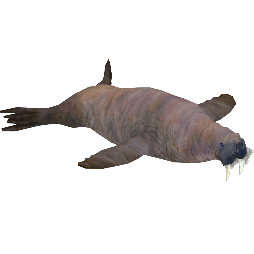 邦楽 20012002 walrus $_57.JPG?set_id=880000500F