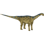 Camarasaurus (Dannybob)