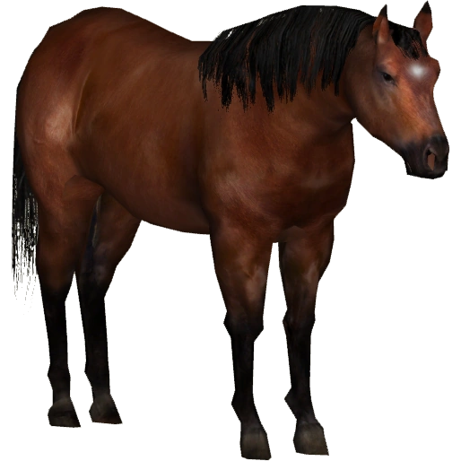 Lac La Croix Indian Pony (Tamara Henson) | ZT2 Download Library