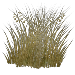 Mammoth Grass (Demon Hunter)