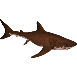 bizant river shark