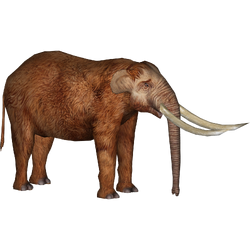 トムソン　mastodon Rare Mastodons On Parade IPFW 113 Of 500 Matthew Kubik 2005
