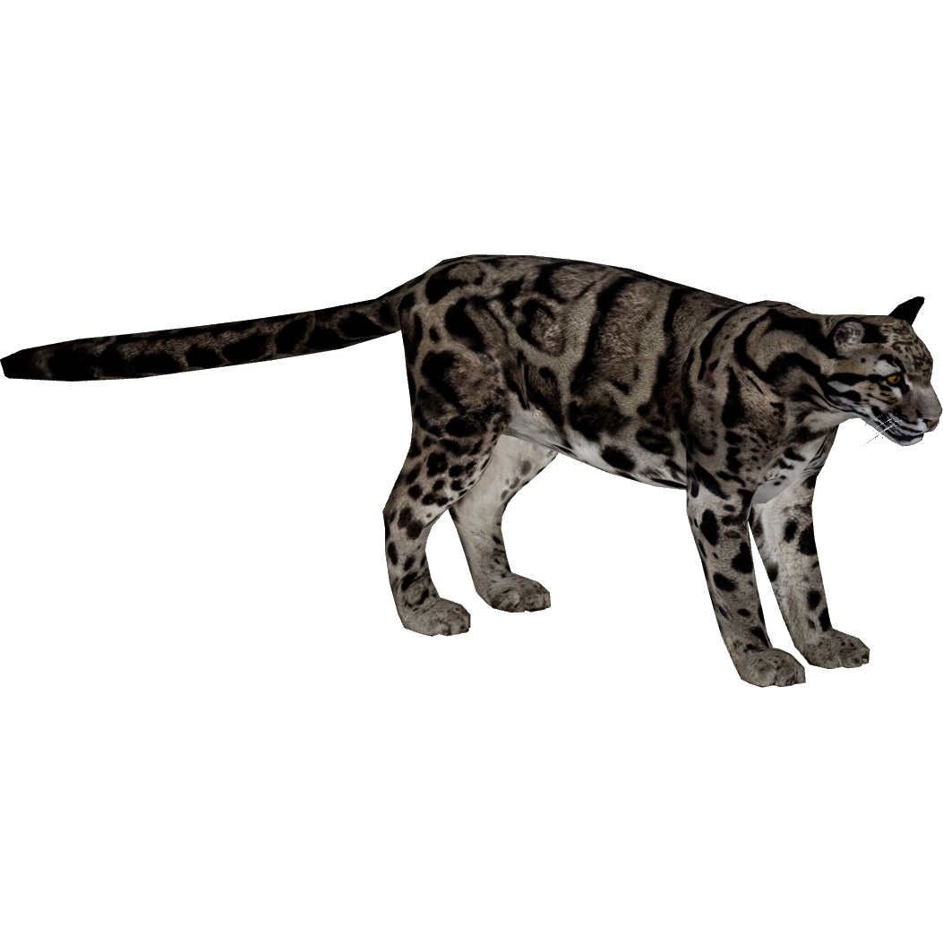 シム・シメール、【THE LITTLE CLOUDED LEOPARD】 latest?cb=20150831162824