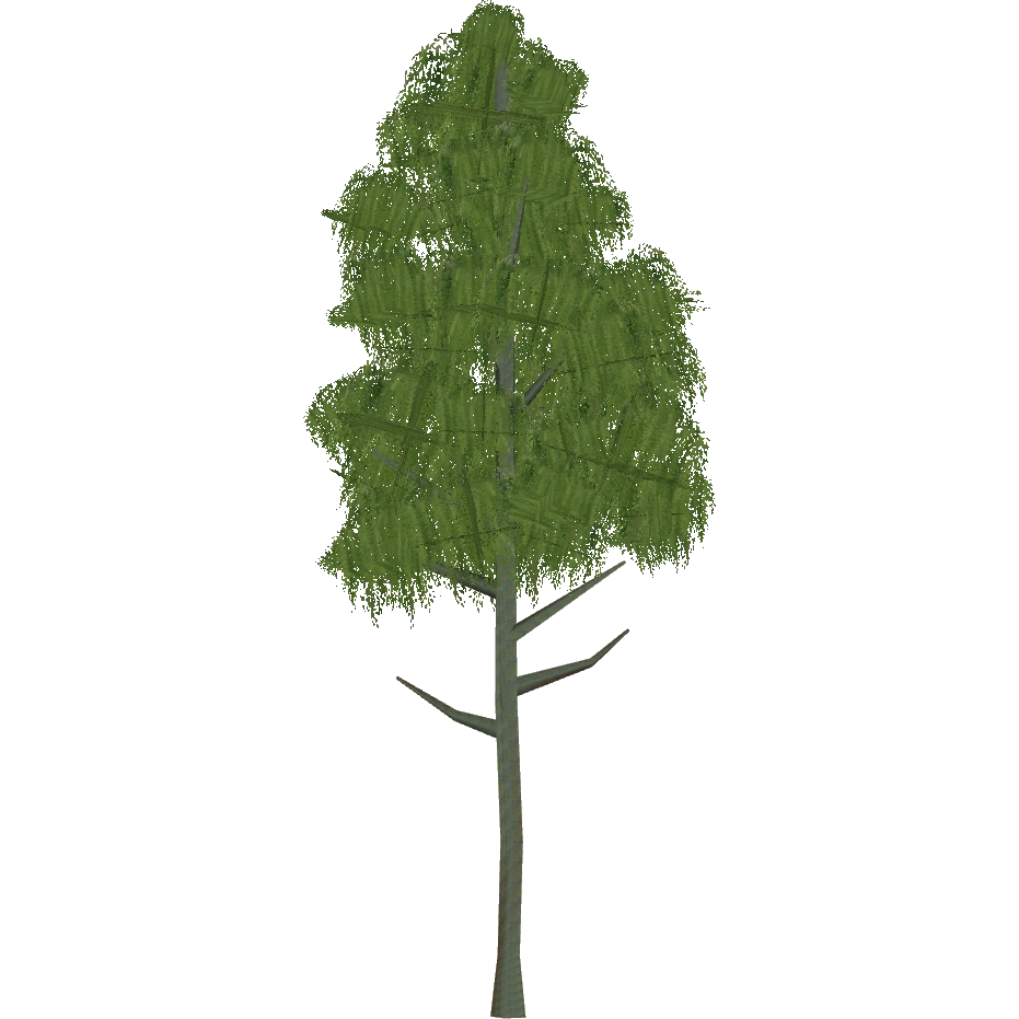 Rimu (Worldwide Designers United) ZT2 Download Library Wiki Fandom