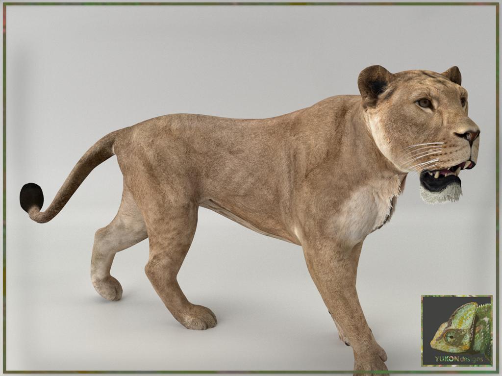 Zoo Tycoon 3: Asiatic Lion 