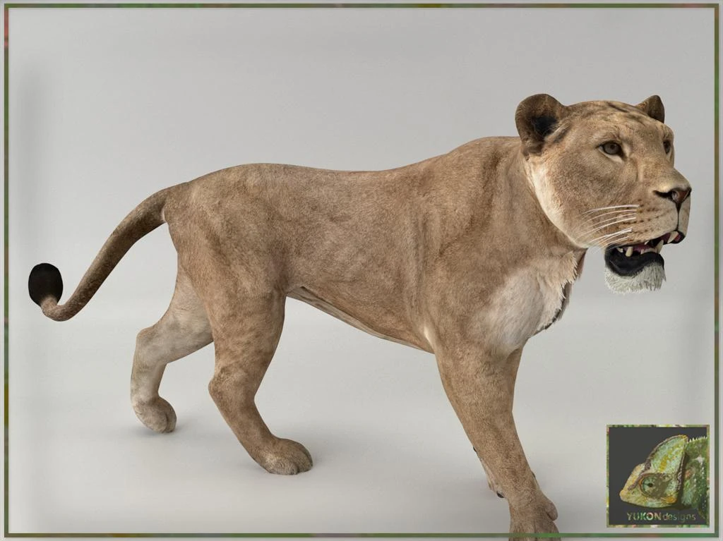 Asiatic Lion (Yukon) | ZT2 Download Library Wiki | Fandom