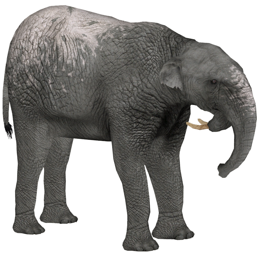 File:Deinotherium.png - Wikimedia Commons