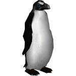 Great Auk (Fobian)