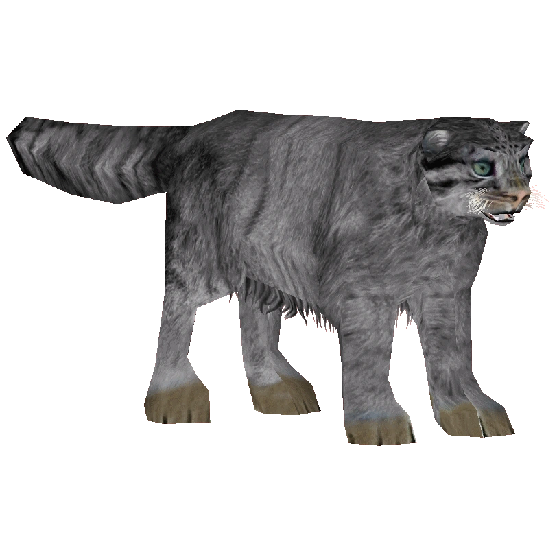 Pallas's Cat (Jannick) | ZT2 Download Library Wiki | Fandom
