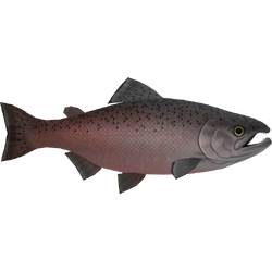 Category:Salmons & Pikes, ZT2 Download Library Wiki