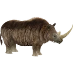 Woolly Rhinoceros (Lights) (1.41 MB) Woolly Rhinoceros (Lights)