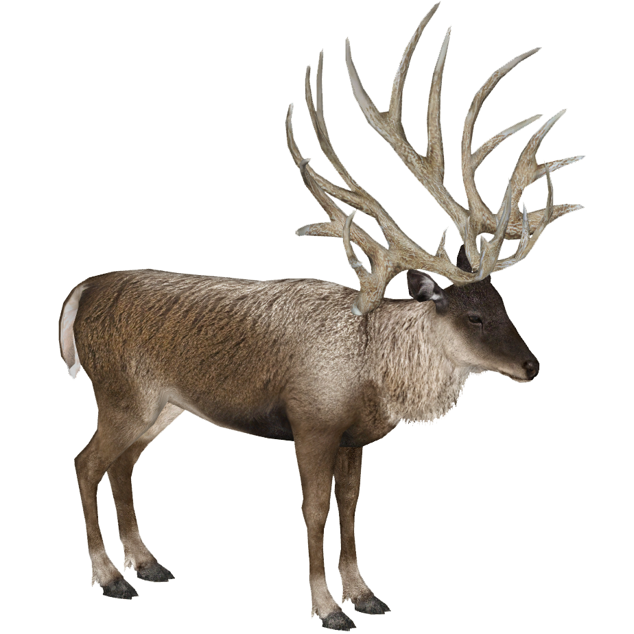 Bush-Antlered Deer (Lgcfm & Ulquiorra) | ZT2 Download