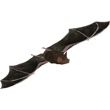 Bat, Hytale Wiki, FANDOM powered by Wikia