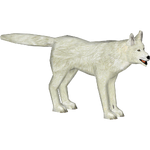 Arctic Wolf (Collar)