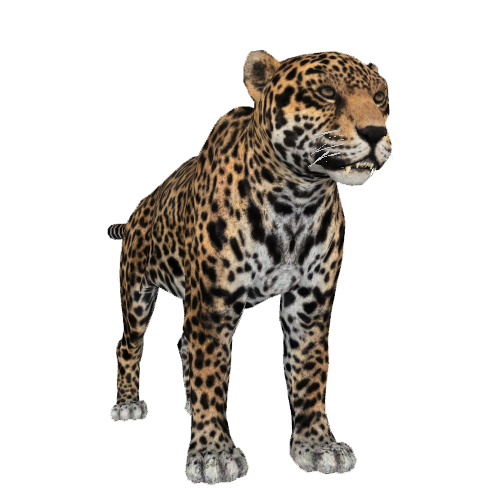 Jaguar (Blue Fang) | ZT2 Download Library Wiki | Fandom