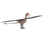 Rhamphorhynchus (PrimevalRaptor)
