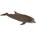 Southern Bottlenose Whale (VGnome)