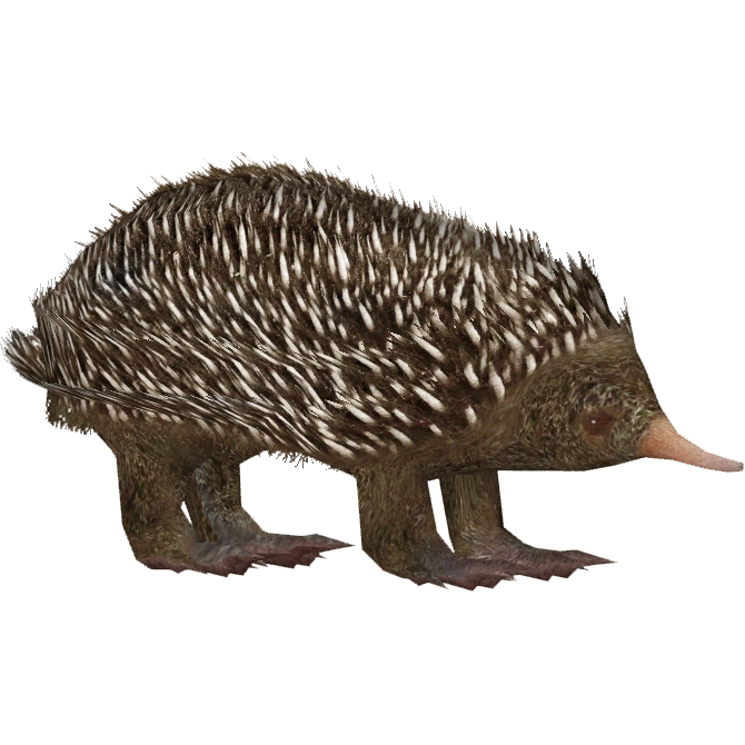 latest?cb=20160528173606