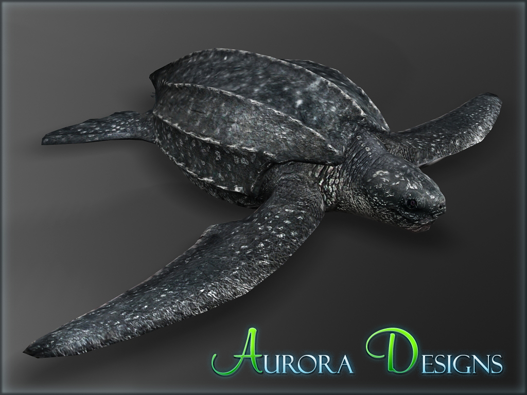 Leatherback Sea Turtle (Aurora Designs) | ZT2 Download Library Wiki | Fandom Leatherback Sea Turtle (Aurora Designs) | ZT2 Download Library Wiki | Fandom