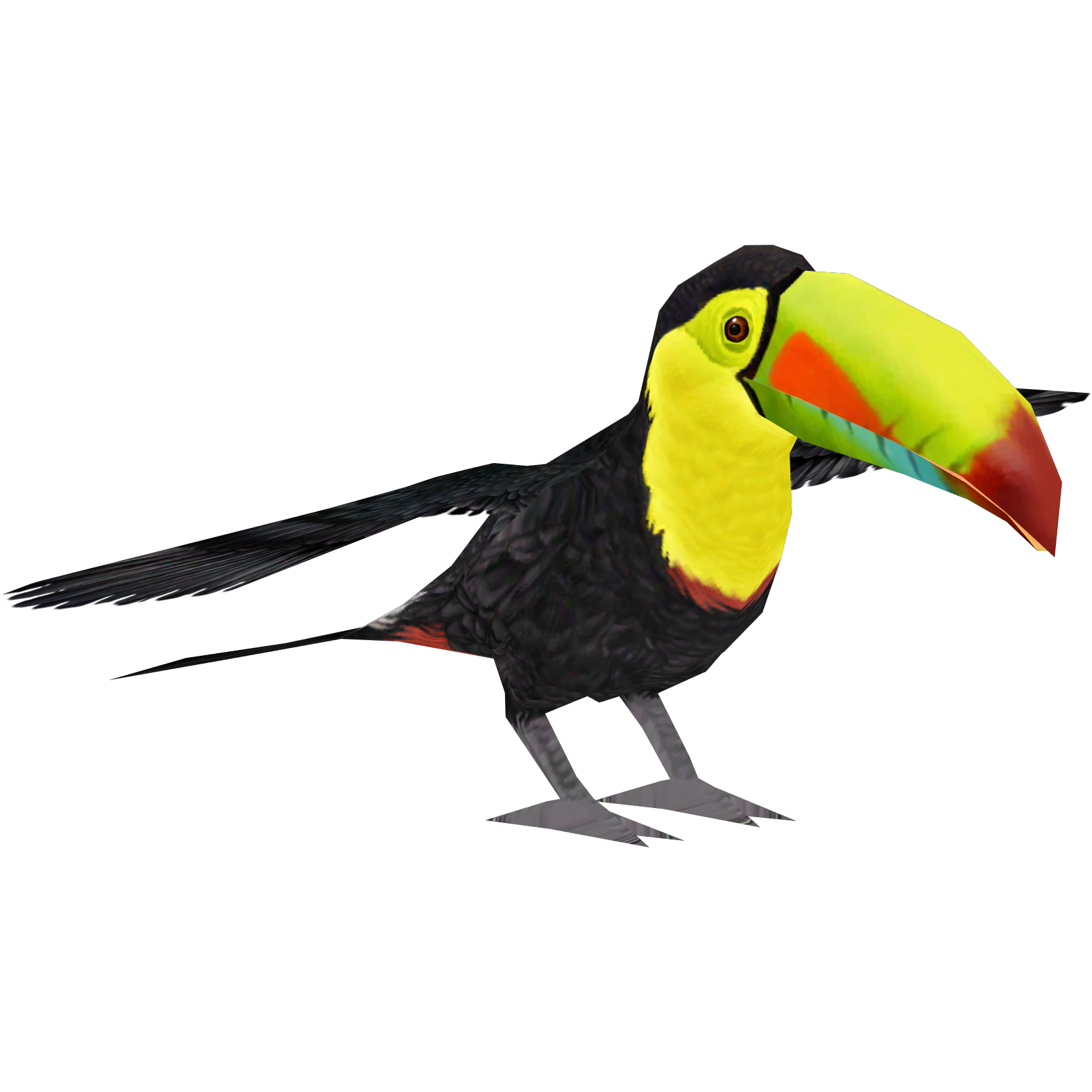 Keel Billed Toucan, PDF, Birds