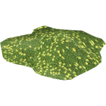 Cushion Plant (Whalebite)