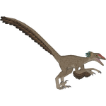 Balaur (Acinonyx Jubatus)