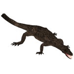 Ceresiosaurus (DoveCrusher)