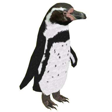 latest?cb=20201013130622