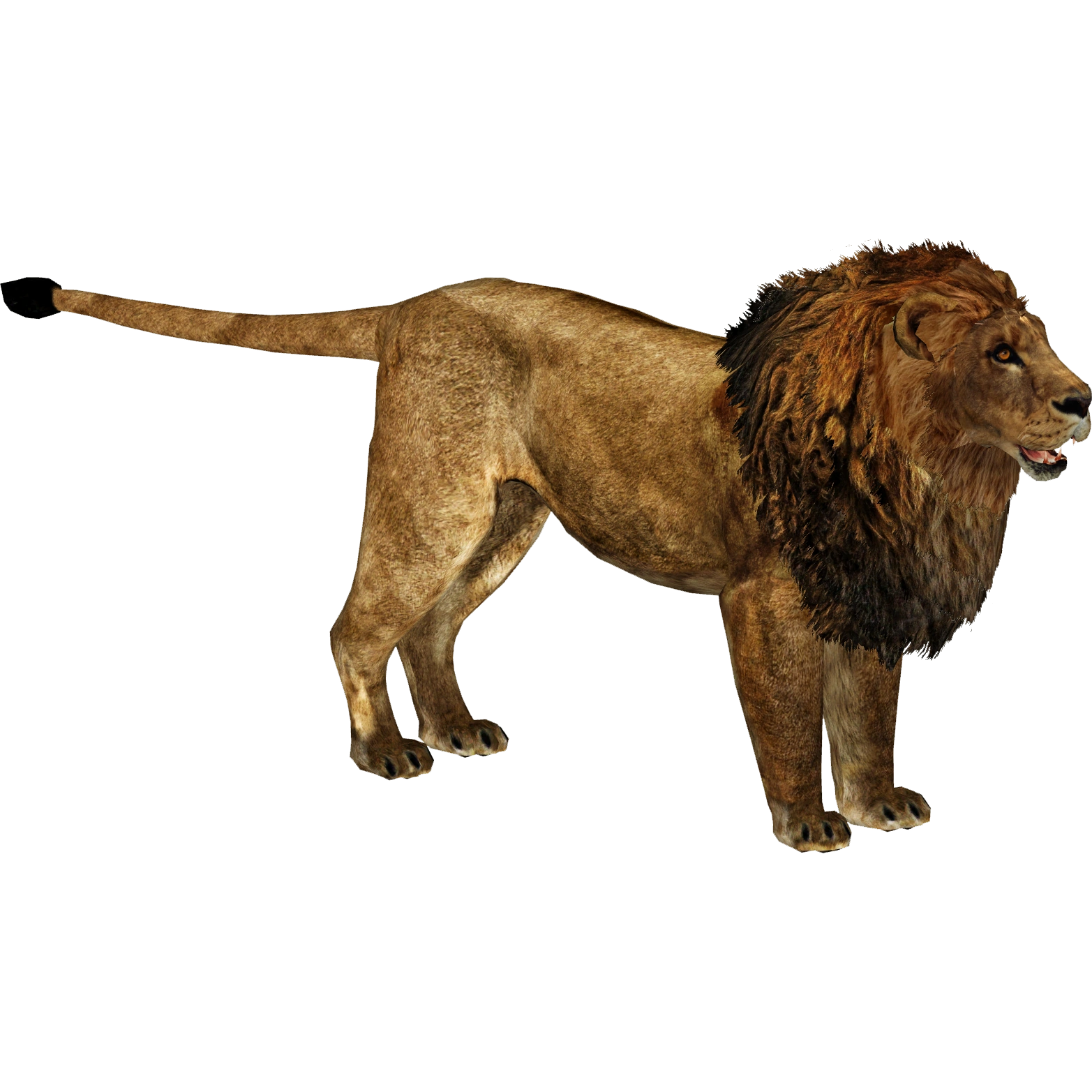 latest?cb=20181014043422