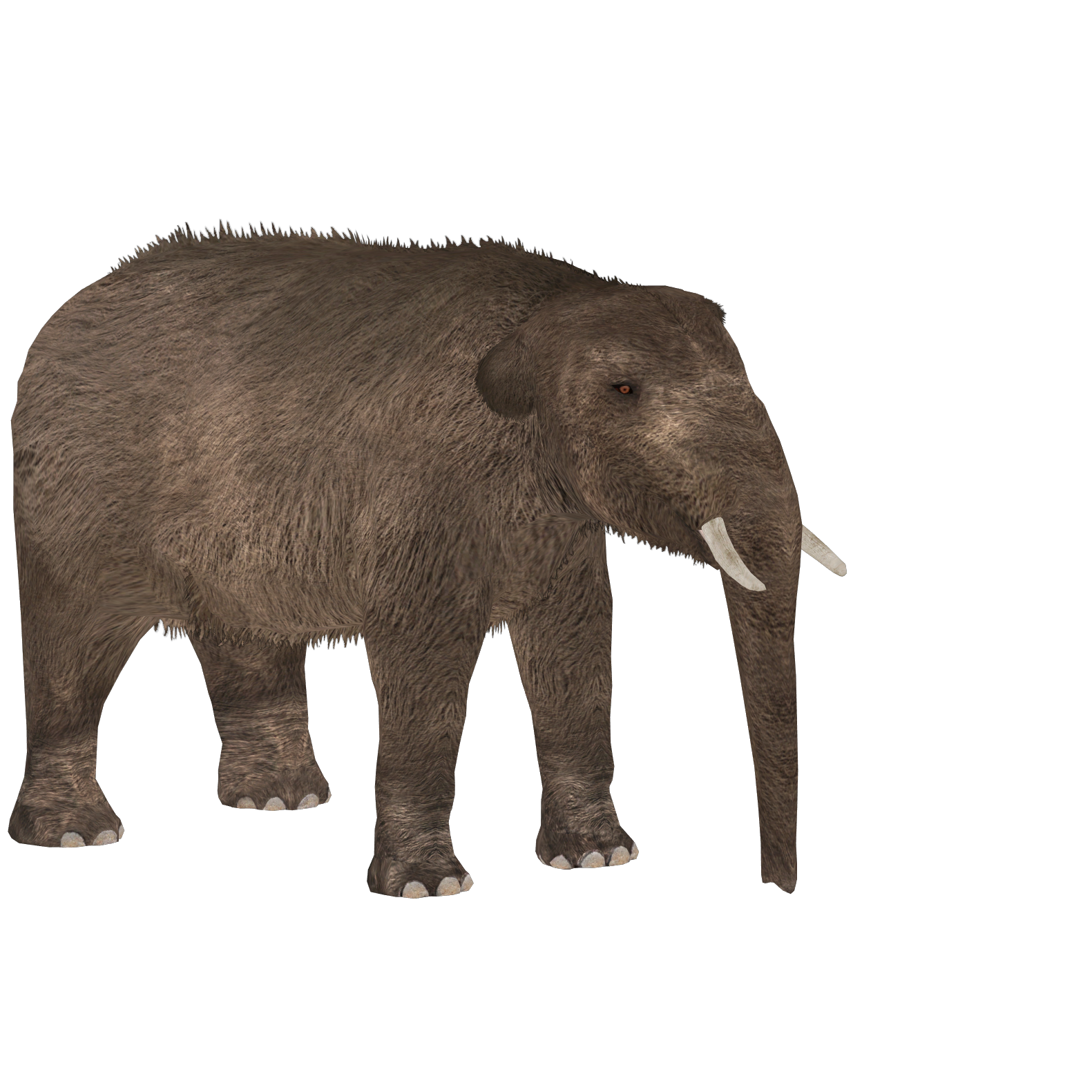 トムソン　mastodon latest?cb=20211205001138