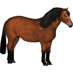 Category:Horse Pack (Tamara Henson) | ZT2 Download Library Wiki