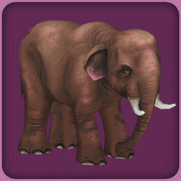 Asian Elephant (Blue Fang) | ZT2 Download Library Wiki | Fandom