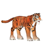 Caspian Tiger (Elephantium Creators Realm)