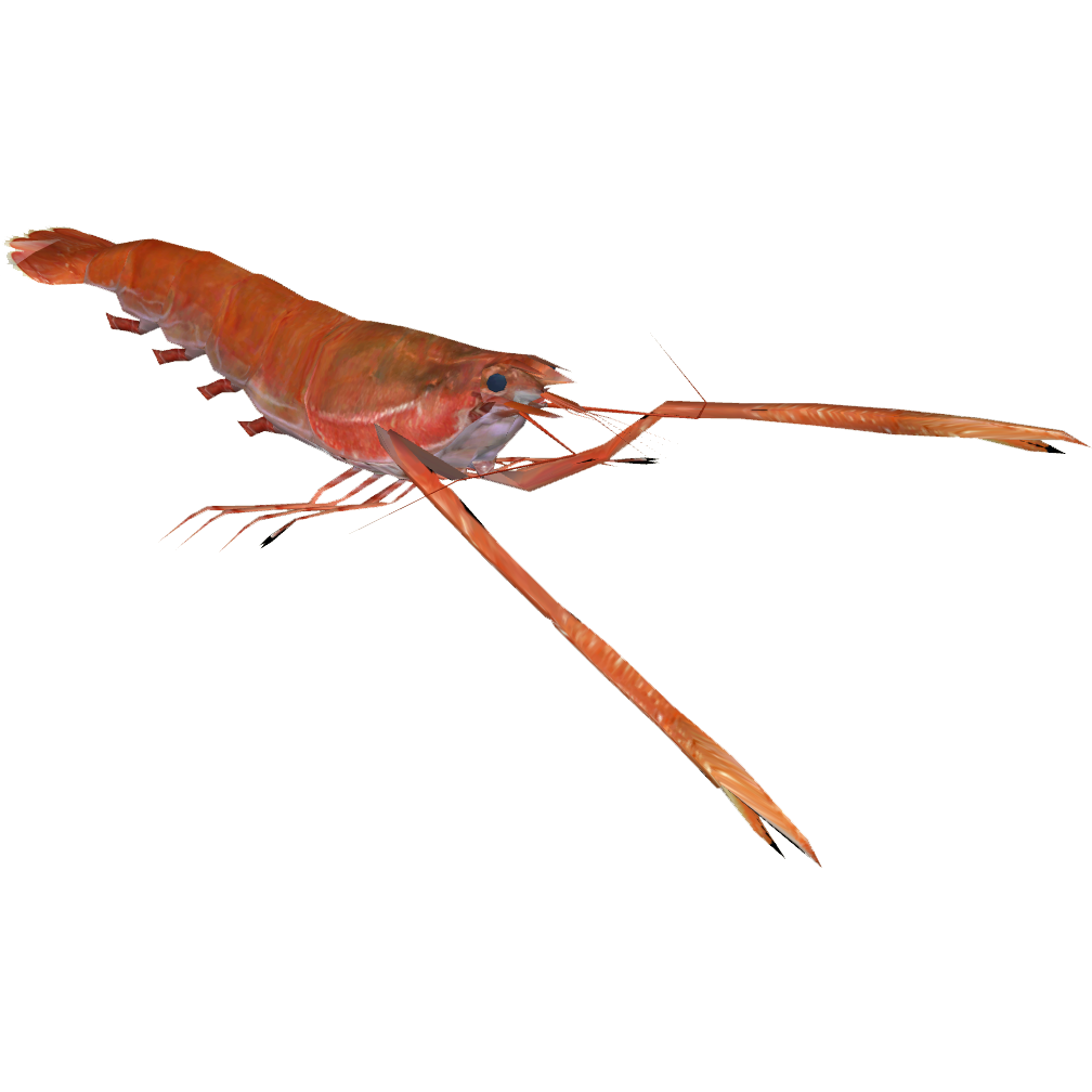 Scenery Japanese Lobster (Dycki1231) | ZT2 Download Library