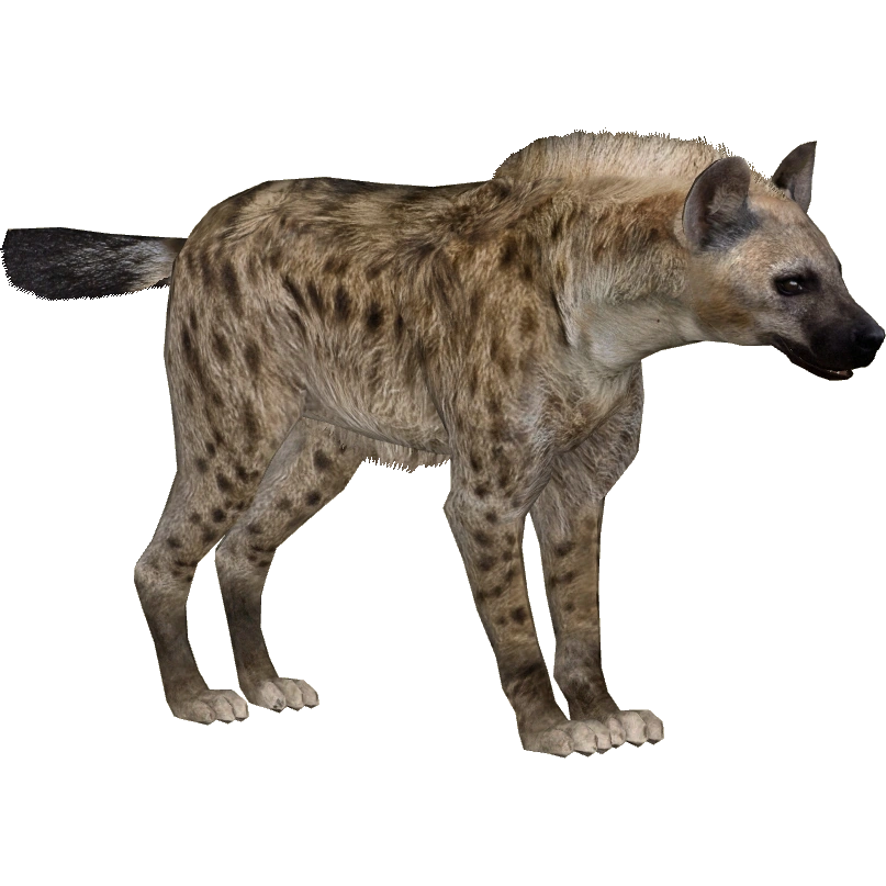 HYENA STATION  Spotted Hyena (Zerosvalmont) | ZT2 Download Library Wiki