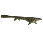 Mosasaurus (Incinerox, TyrantTR and Zooa)